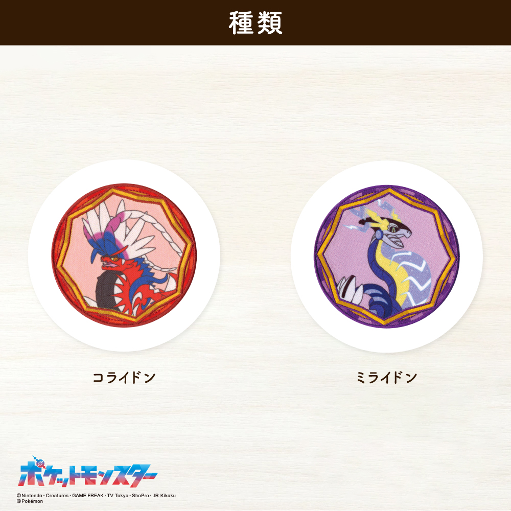 ポケットモンスター<br>ビックシールワッペン