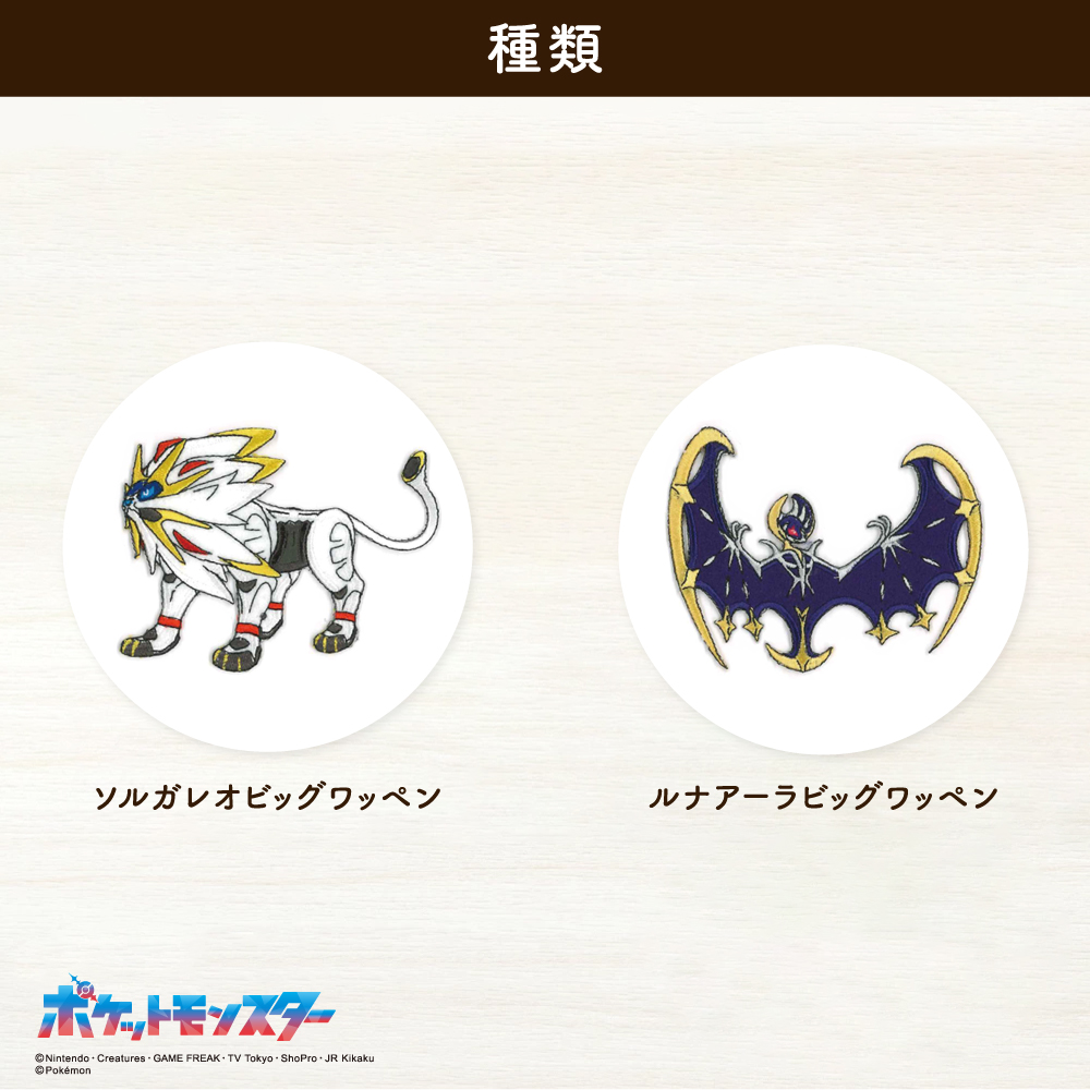 ポケットモンスター<br>ビックシールワッペン3