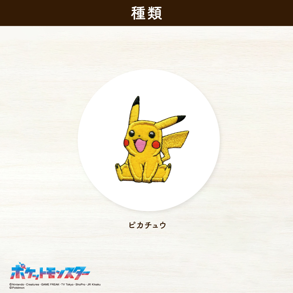 ポケットモンスター<br>シールワッペン9