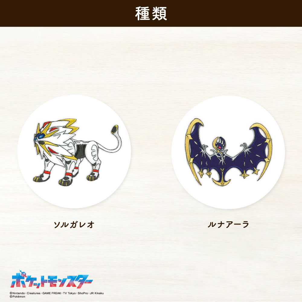 ポケットモンスター<br>ビックシールワッペン3