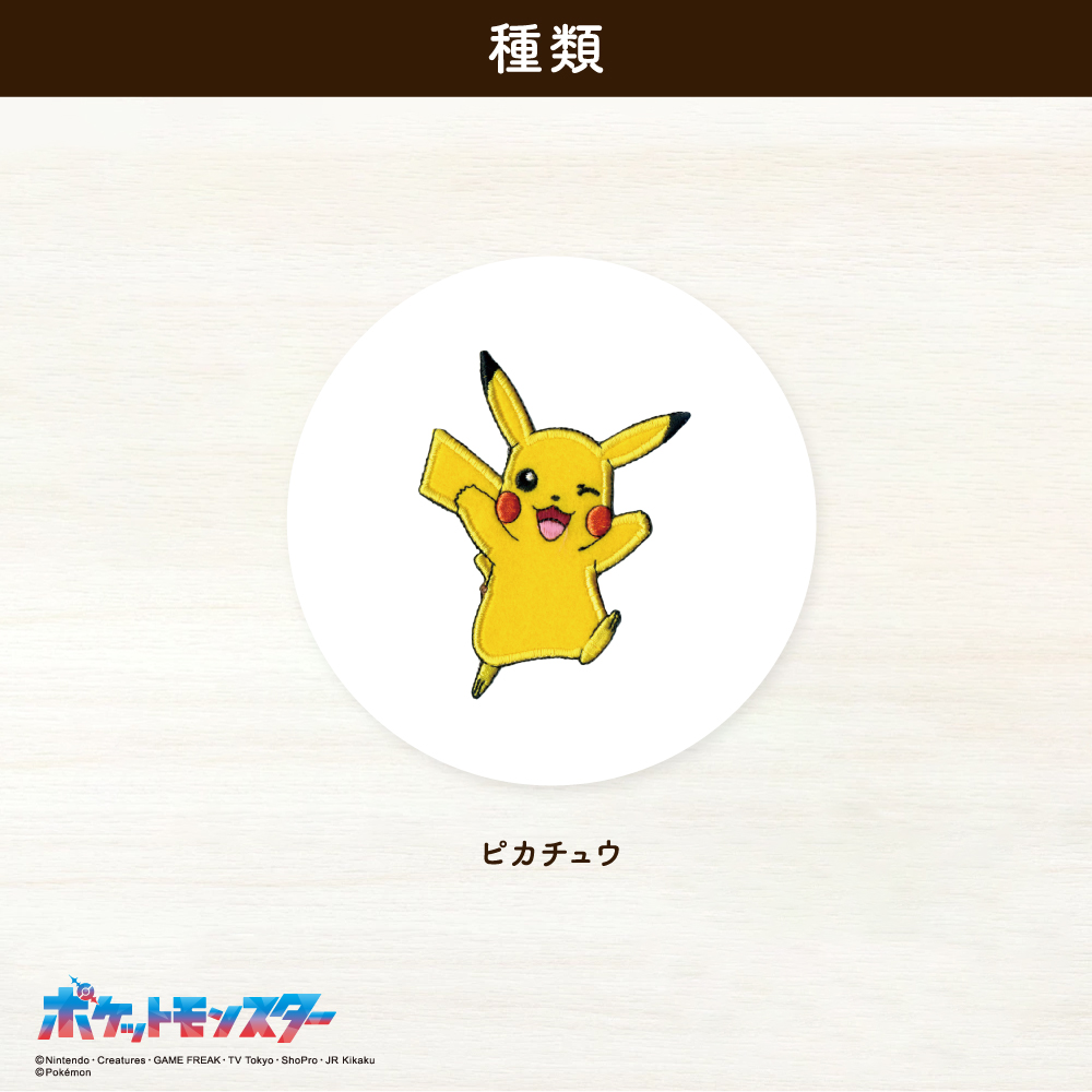 ポケットモンスター<br>ビックシールワッペン4
